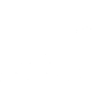 Mechanic Evolution
