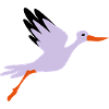 stork