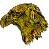 Yellow eagle