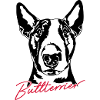 BULL TERRIER dog dogs Wilsigns
