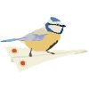 Blaumeise Papierflieger