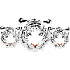 Tiger, white tiger, tiger trio