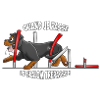 Agility 4