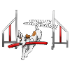 Agility 1