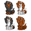 Cavalier King Charles - Square