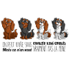 Cavalier King Charles - Ligne 2