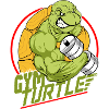 Gym Turtle Gym Design