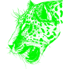 Leopard green, leopard, big cat,