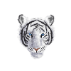 white tiger