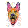 German shepherd dog