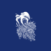 Deep Cloud Navy