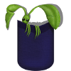 Pickett