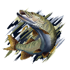 Pike