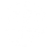 Stay Wild - weiss/dis