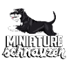 miniatureschnauzer4
