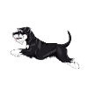 schnaudiamonds4