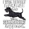 schnauzershappened3