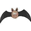 kleine Fledermaus