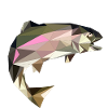 trout Vcr Fva