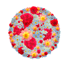 Bouquet of flowers