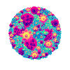 Pop flower Bouquet