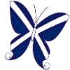 Scottish Butterfly