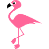 flamingo