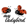 ladybugs with text my ladybird