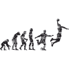 Basket-ball Evolution Basketball Basket