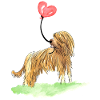 Briard&balloon