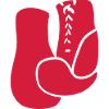 gants de boxe