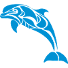 DElfin