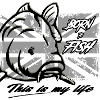 born-to-fish-carp