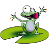 frog 1
