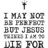 I May not be perfect