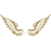 Wings · Wings · Symbols · Shapes