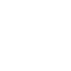 USA 50 States Flag