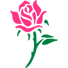 rose