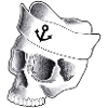 crâne Sailor