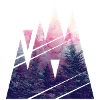 Shape of Woods