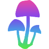 Shrooms