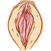 Pussy Puissance