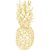 Pineapple gold
