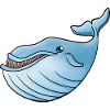 Little Blue Whale