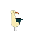 Möwe