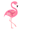 flamingo