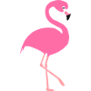 flamingo
