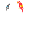 Parrot lovers