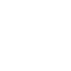 Limited Edition est 1993