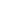 Limited Edition 1995 is